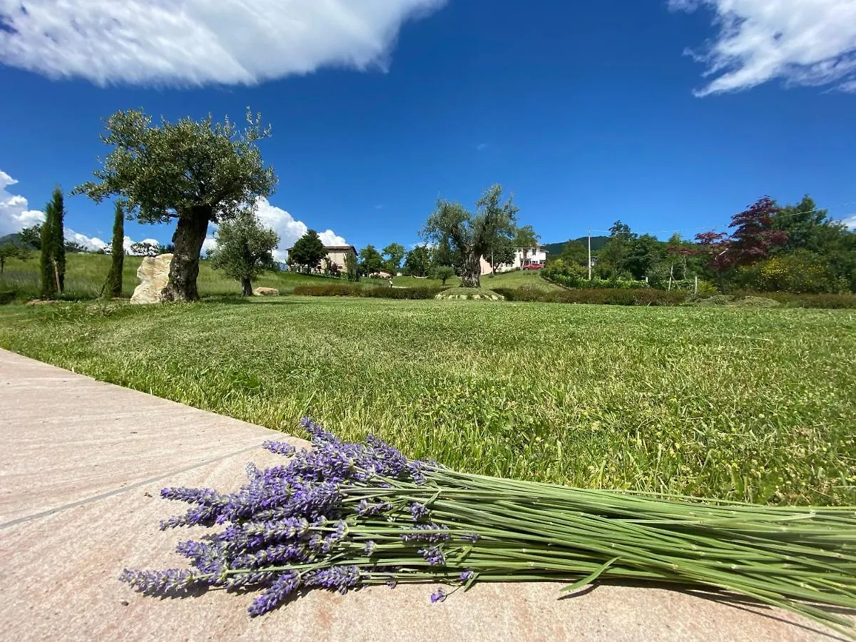L'Oca Giuliva Relais Bed & Breakfast Gaggio Montano 0*,